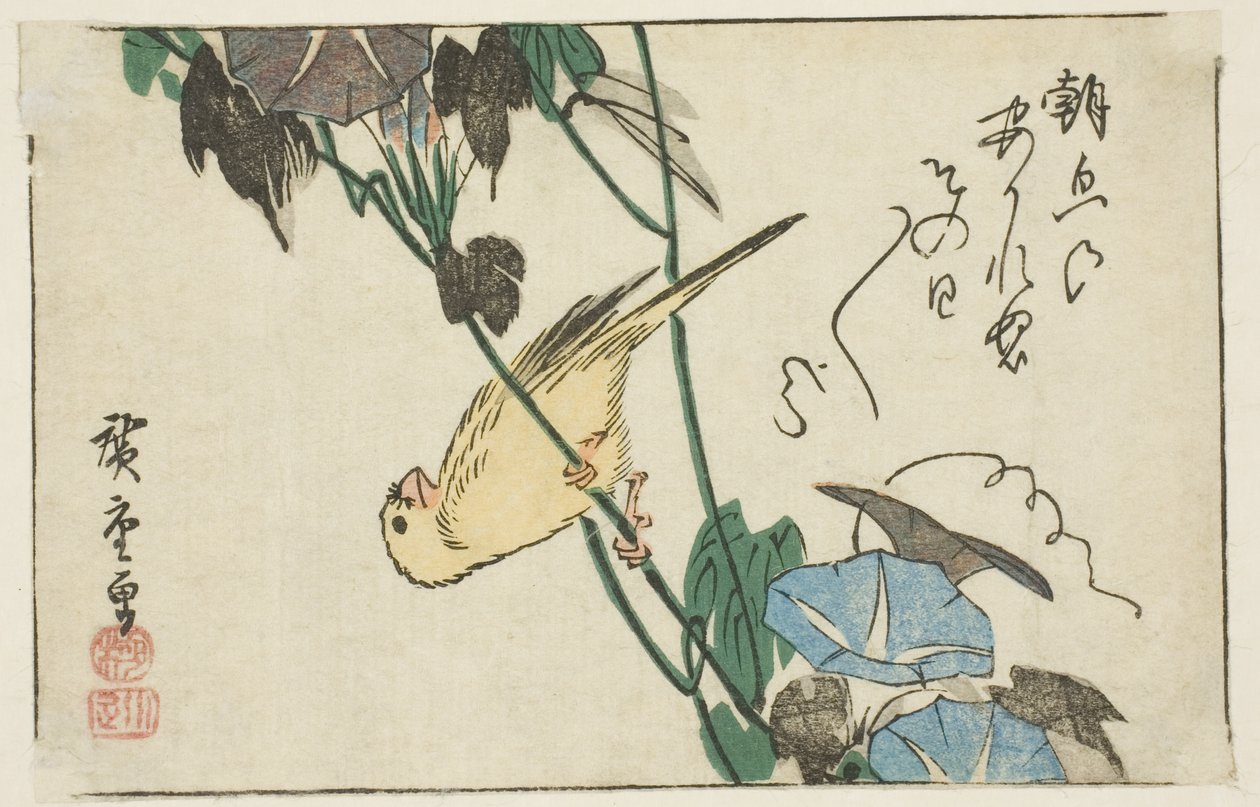 Kanarian ja aamun loistot tekijältä Utagawa Hiroshige