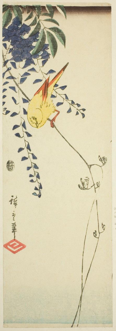 Kanaria ja wisteria tekijältä Utagawa Hiroshige