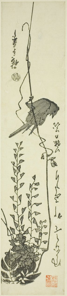 Kanaria ja wisteria tekijältä Utagawa Hiroshige
