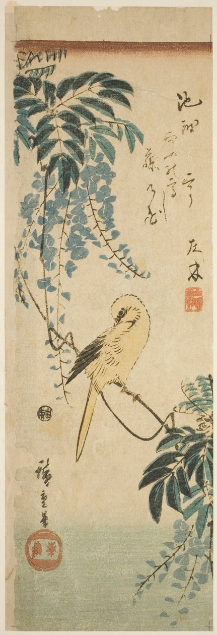 Kanaria ja wisteria tekijältä Utagawa Hiroshige