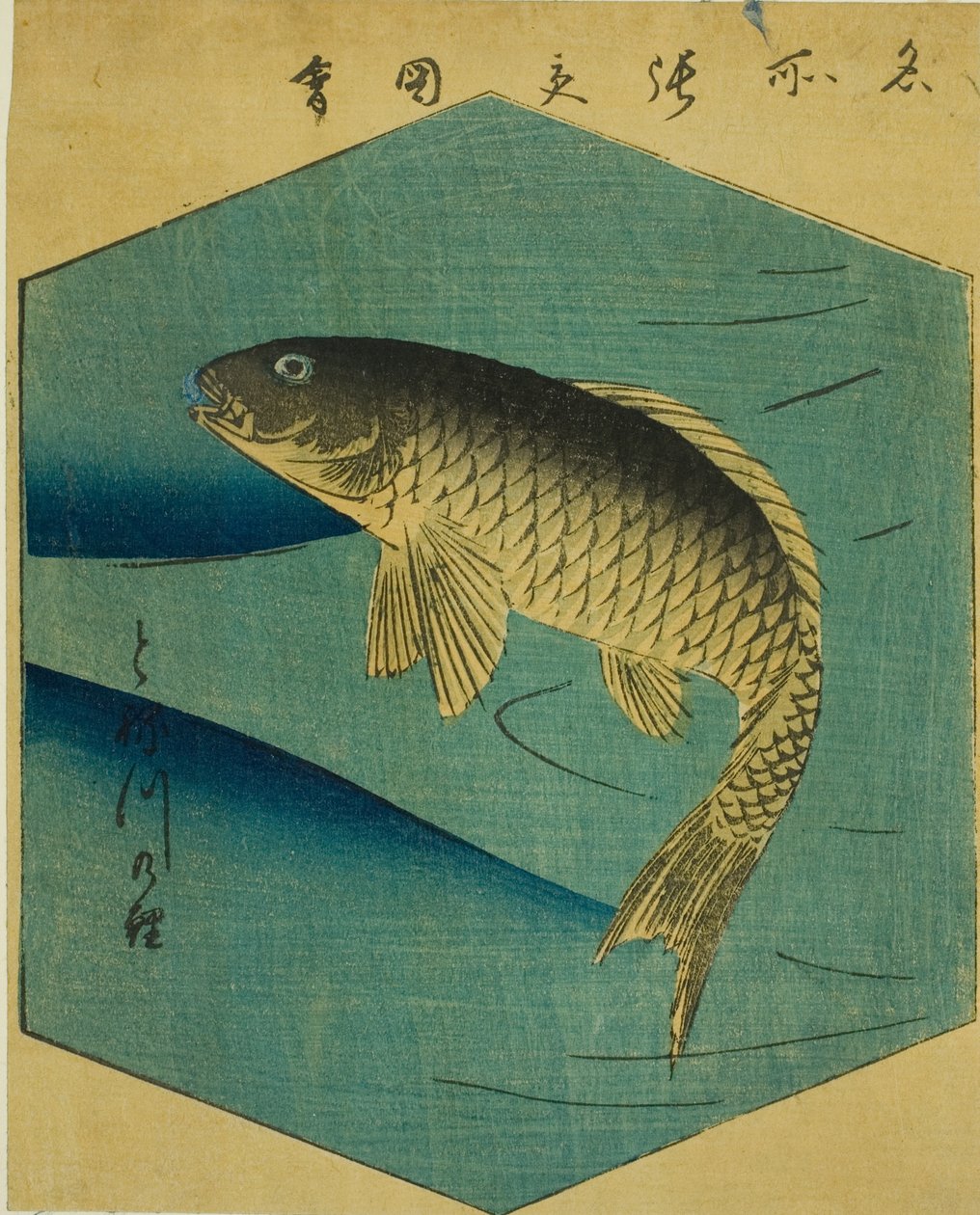 Karppi Tonejoessa (Tonegawa no koi), osa arkkia sarjasta "Kuvia kuuluisista paikoista Edossa (Edo meisho harimaze zue)" tekijältä Utagawa Hiroshige