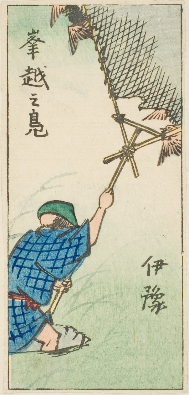 Villiankkojen pyydystäminen Iyon maakunnassa (Iyo, okoshi no kamo), osa arkista nro. 16 sarjasta "Cutout Pictures of the Provinces (Kunizukushi harimaze zue)" tekijältä Utagawa Hiroshige