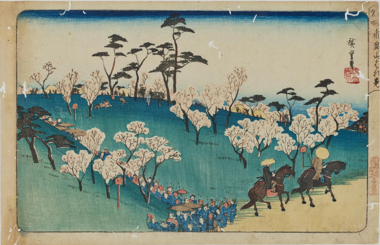 ”Kirsikankukkien katselu Asukan kukkulalla” sarjasta ”Edon kuuluisat paikat” tekijältä Utagawa Hiroshige