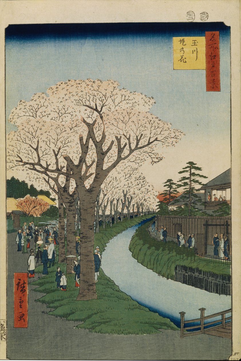 Kirsikankukkia Tama-joen rannalla Sata kuuluisaa näköalaa Edoon, 1856-1858 tekijältä Utagawa Hiroshige
