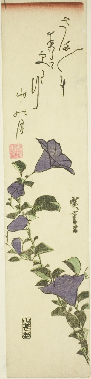 Kiinan kellokukkia tekijältä Utagawa Hiroshige