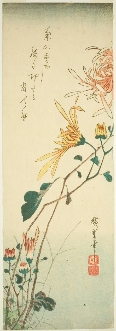 Krysanteemit tekijältä Utagawa Hiroshige