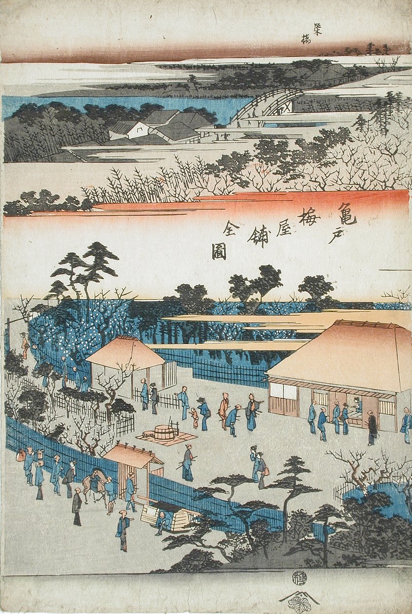 Kameidon luumupuutarhan kokonaisnäkymä tekijältä Utagawa Hiroshige