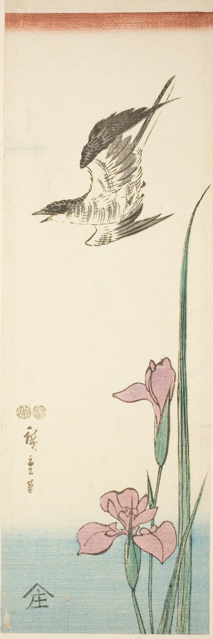 Käki ja iiris tekijältä Utagawa Hiroshige