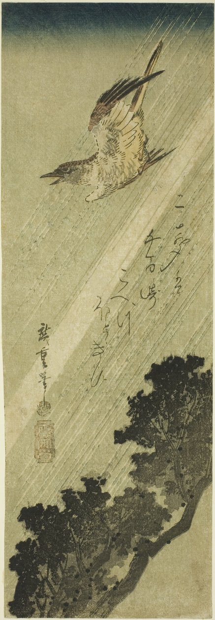 Käki lentää sateessa tekijältä Utagawa Hiroshige