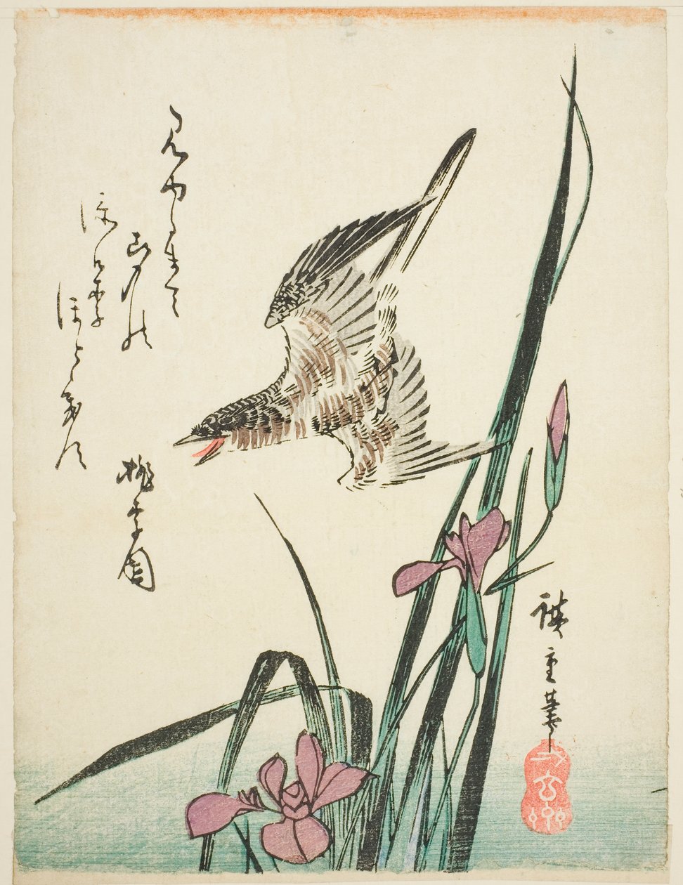 Käki lentää iiriksen yli tekijältä Utagawa Hiroshige