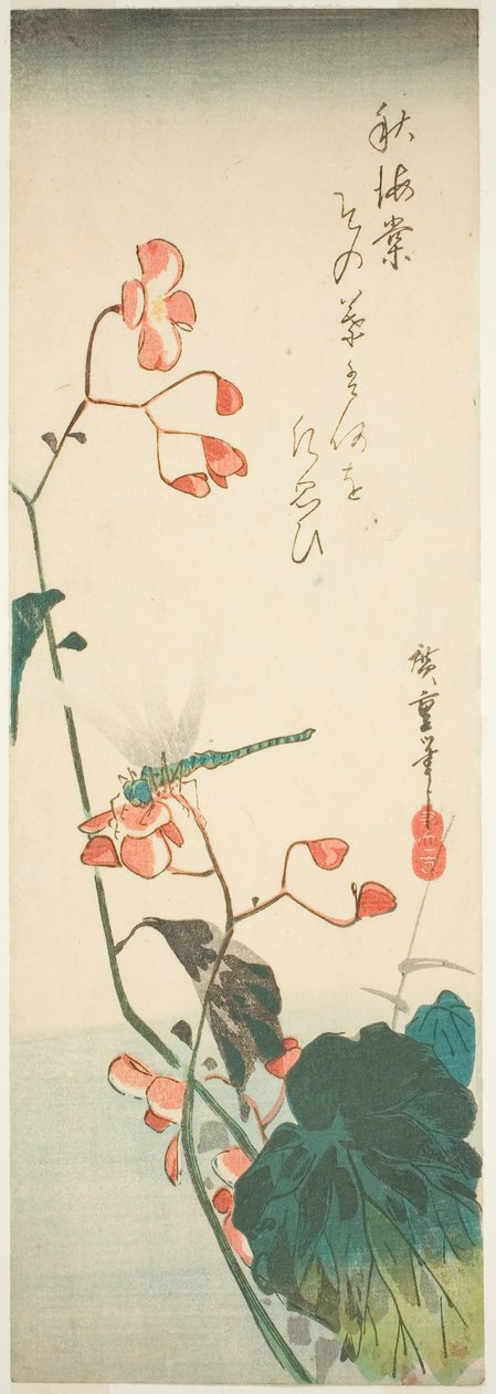 Sudenkorento ja begonia tekijältä Utagawa Hiroshige