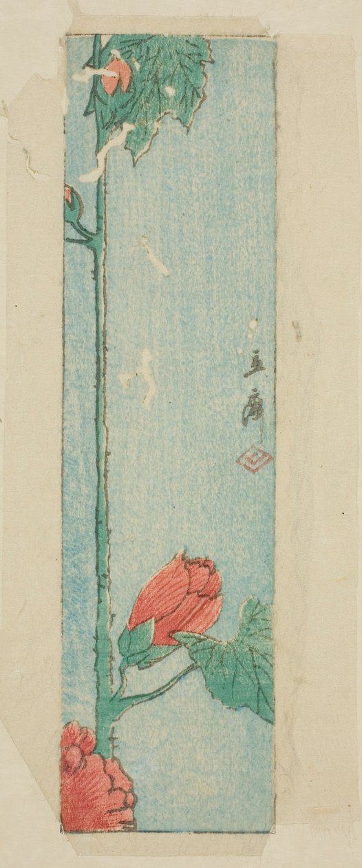 Kirjekuori hibiskuksella tekijältä Utagawa Hiroshige