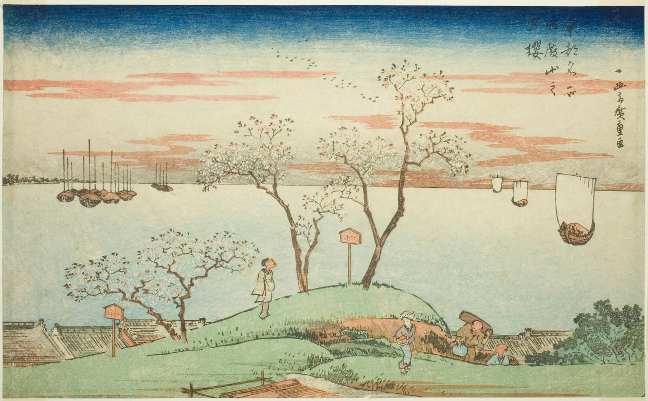 Iltakirsikankukkia Goten Hillillä (Gotenyama no yuzakura), sarjasta "Itäisen pääkaupungin kuuluisat näkymät (Toto Meisho)" tekijältä Utagawa Hiroshige