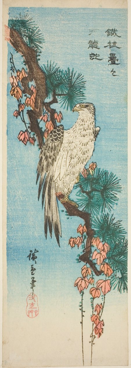 Haukka murattipeitteisellä männyn oksalla tekijältä Utagawa Hiroshige