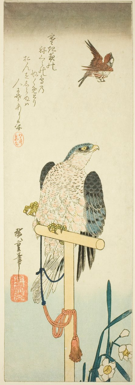 Haukka, varpunen ja narsissi tekijältä Utagawa Hiroshige