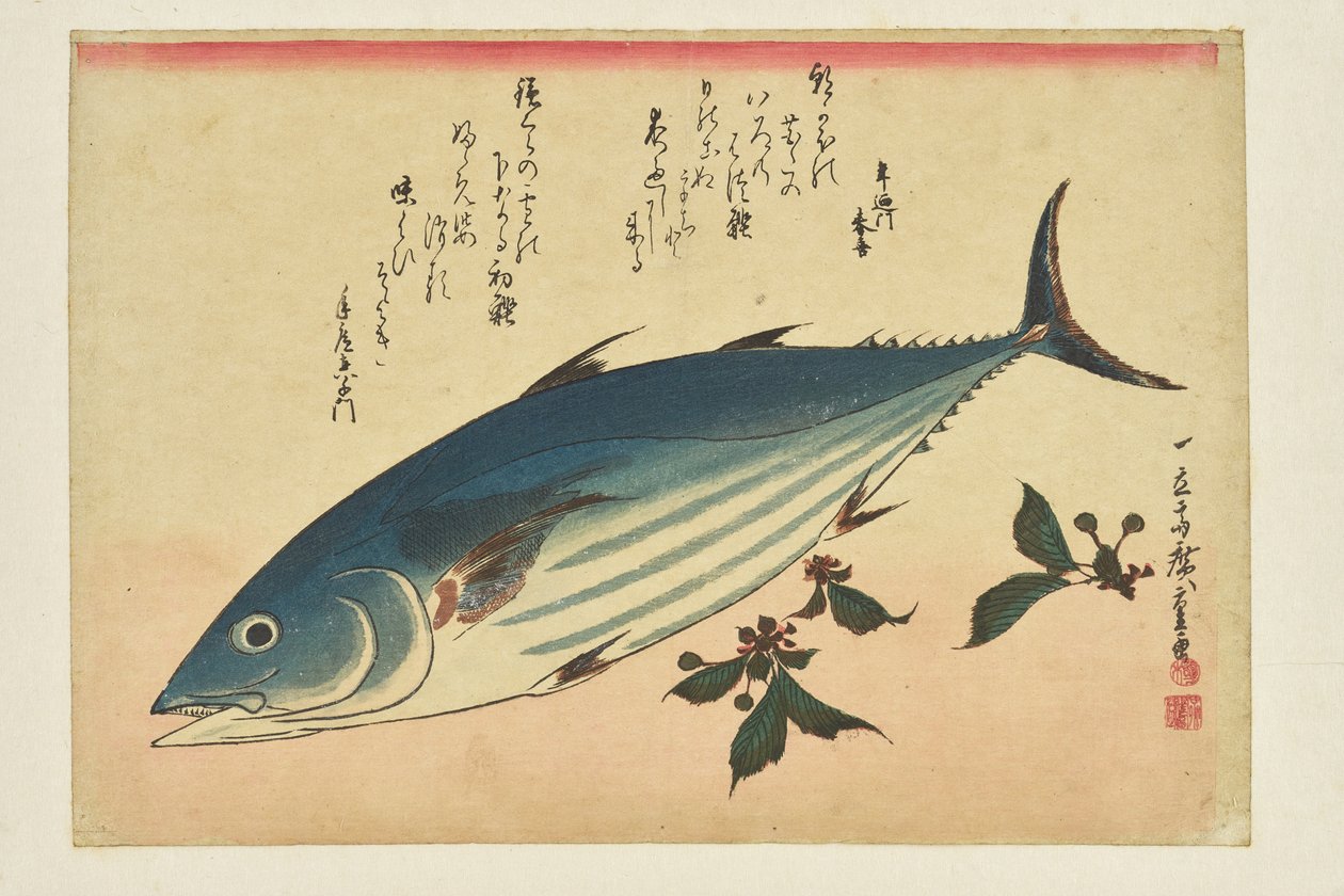 Kalapainatus: Bonito ja kirsikat sarjasta »Kalaparvi« tekijältä Utagawa Hiroshige