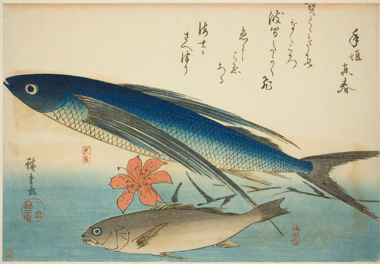 Lentävät kalat ja Ichimochi nimettömästä kalasarjasta tekijältä Utagawa Hiroshige