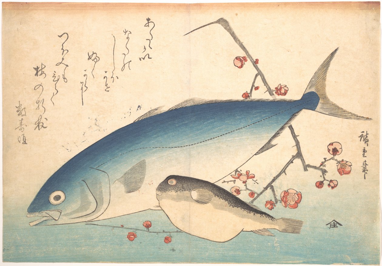 Fugu- ja inada-kalat sarjasta Uozukushi (Kaikki kalalajit) tekijältä Utagawa Hiroshige