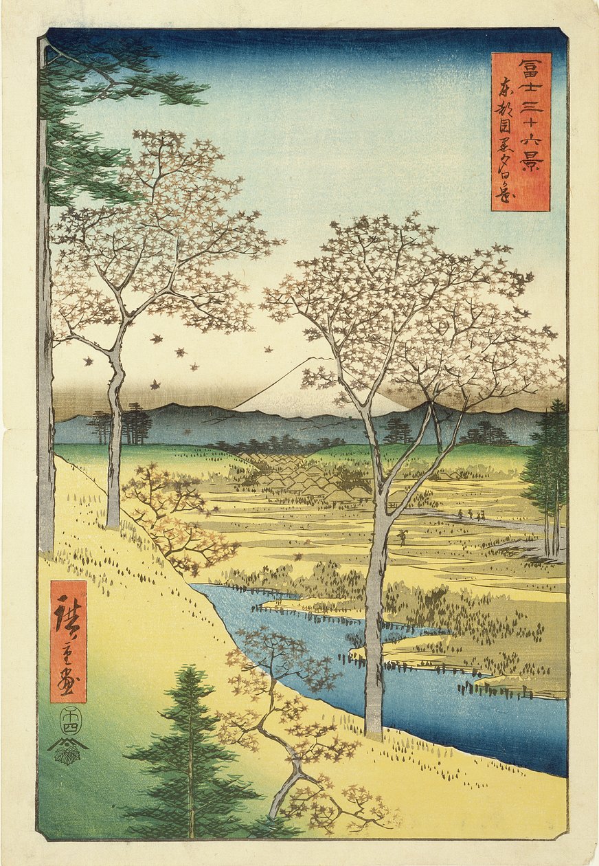 Fuji Yuhi-Gasta, Megwo, No.10 sarjasta 