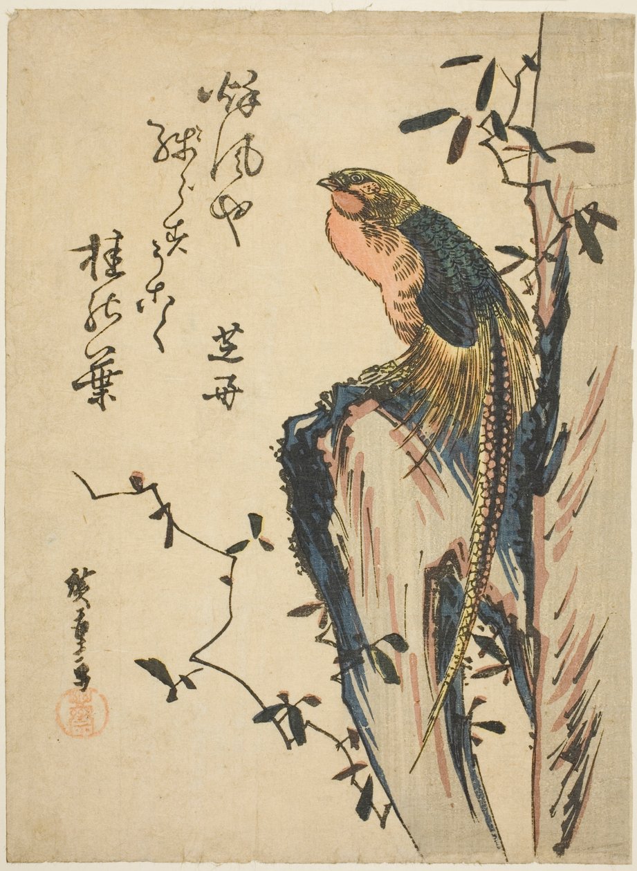 Kultainen fasaani tekijältä Utagawa Hiroshige