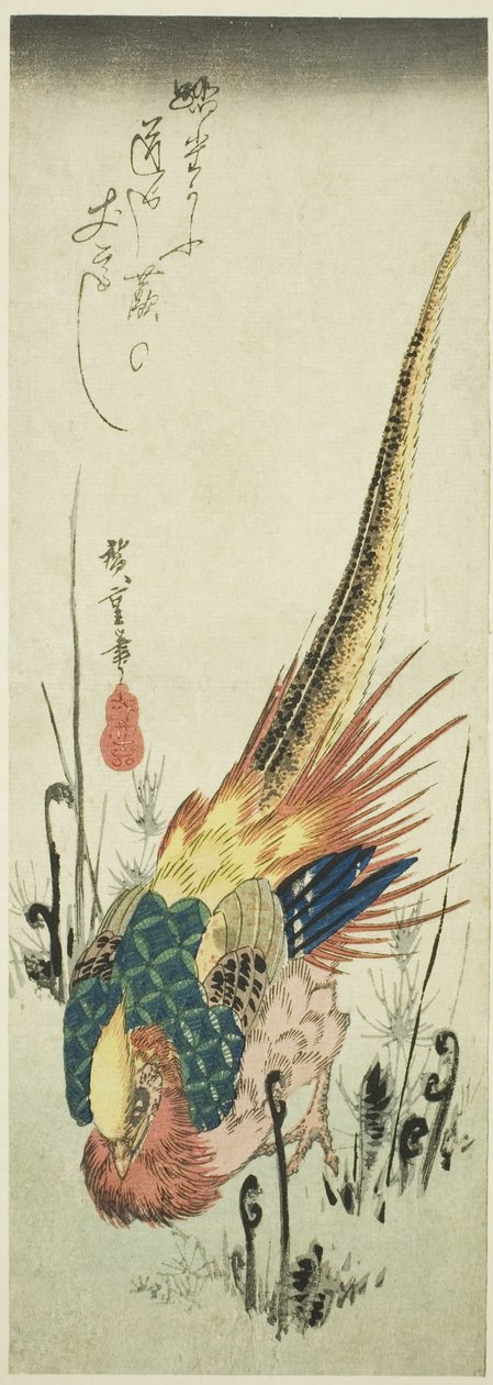 Kultainen fasaani ja raukkasaniaiset tekijältä Utagawa Hiroshige