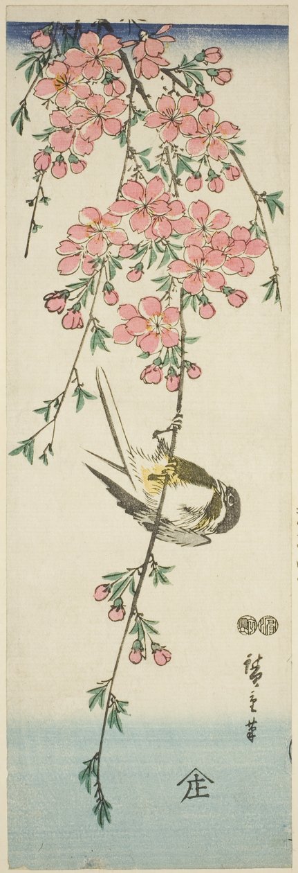 Talitiainen ja kirsikankukkia tekijältä Utagawa Hiroshige