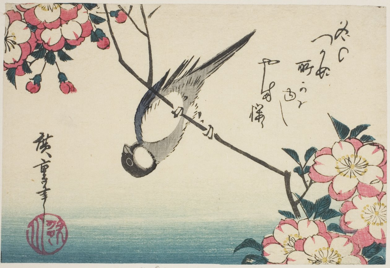 Talitiainen kirsikankukan oksalla tekijältä Utagawa Hiroshige