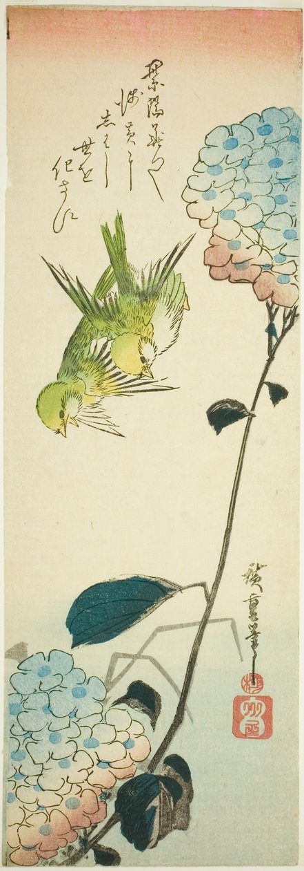 Vihreät linnut ja hortensiat tekijältä Utagawa Hiroshige