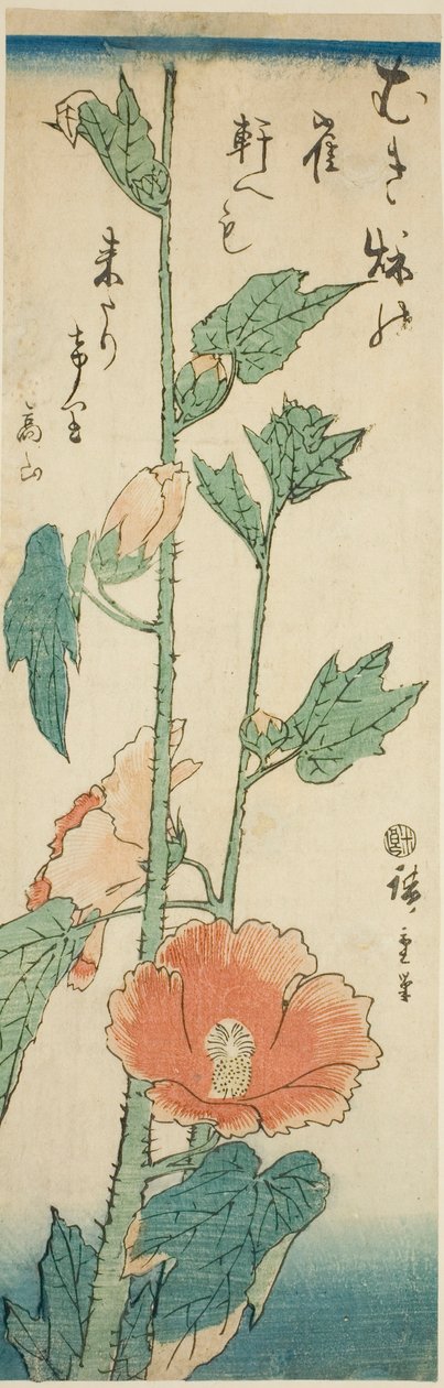 Hibiscus tekijältä Utagawa Hiroshige