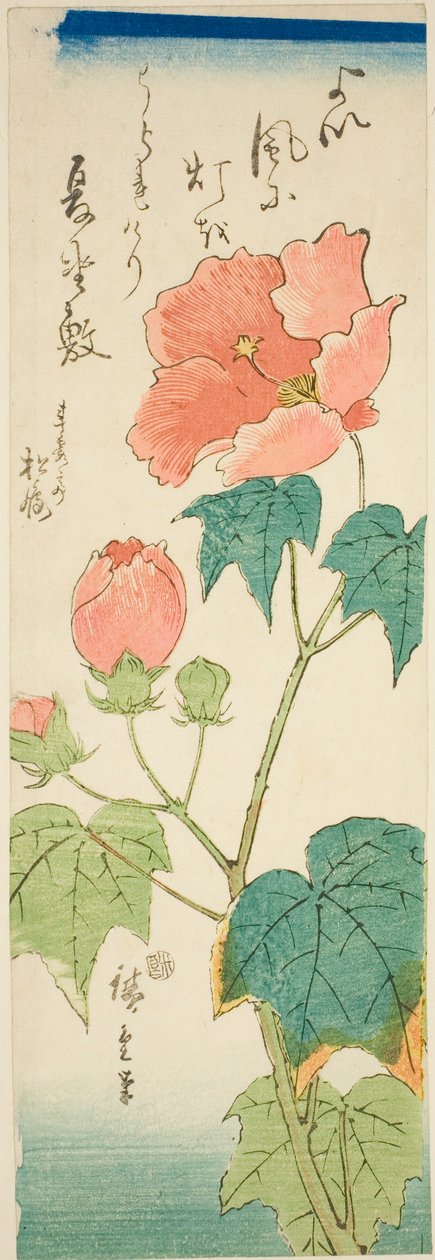 Hibiscus tekijältä Utagawa Hiroshige