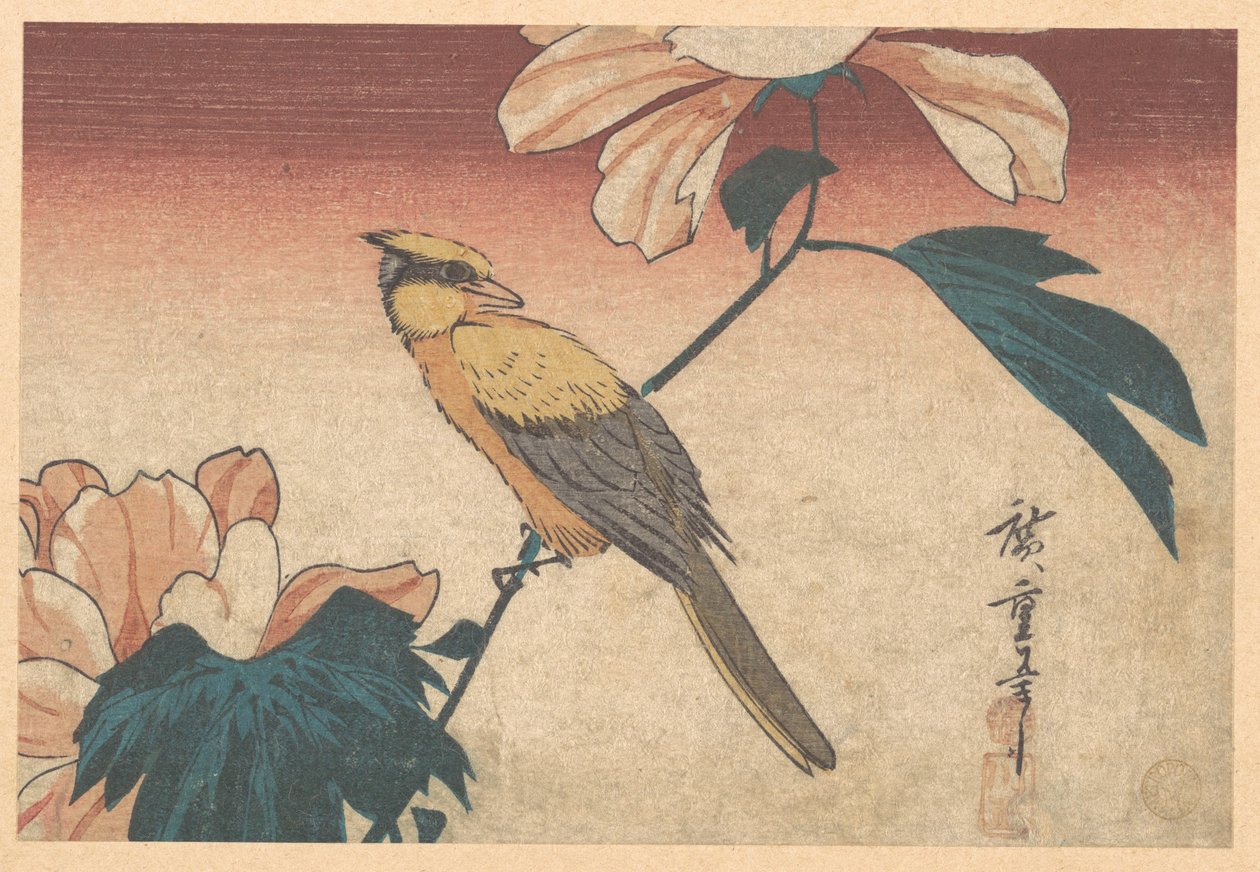 Hibiscus mutabilis ja Jay tekijältä Utagawa Hiroshige