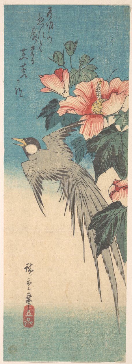 Hibiscus Mutabilis und Langschwanzvogel tekijältä Utagawa Hiroshige
