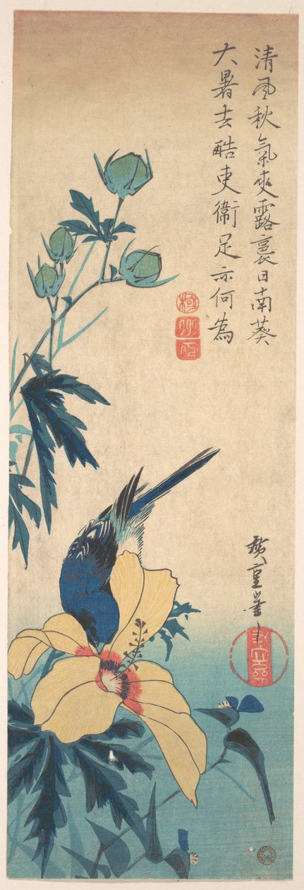 Hibiscus ja Bluebird tekijältä Utagawa Hiroshige