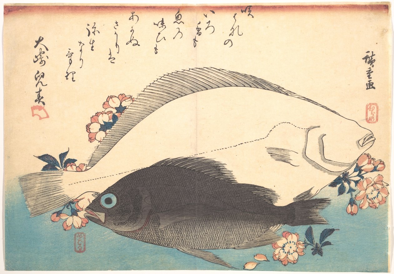 Hirame- ja Mebaru-kaloja sekä kirsikankukkia sarjasta Uozukushi (Kaikki kalalajit) tekijältä Utagawa Hiroshige