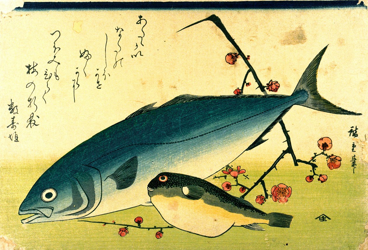 Hiroshige A Shoal of Fishes Fugu Keltanokka tekijältä Utagawa Hiroshige