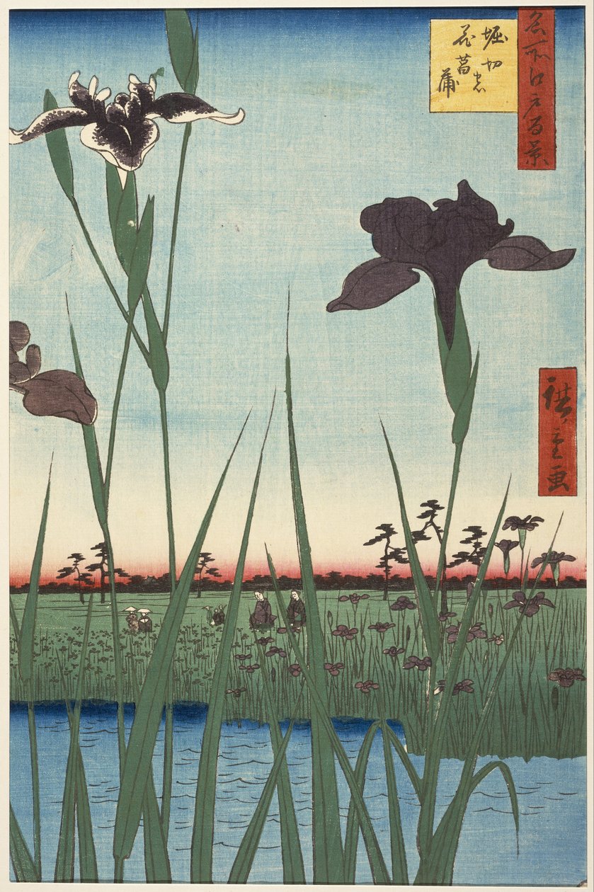 Horikiri Iris Garden (Horikiri no hanashōbu), sarjasta Sadan kuuluisan näkymän Edosta (Meisho Edo hyakkei) tekijältä Utagawa Hiroshige