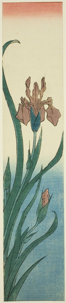 Iiris tekijältä Utagawa Hiroshige