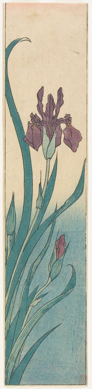Iris tekijältä Utagawa Hiroshige