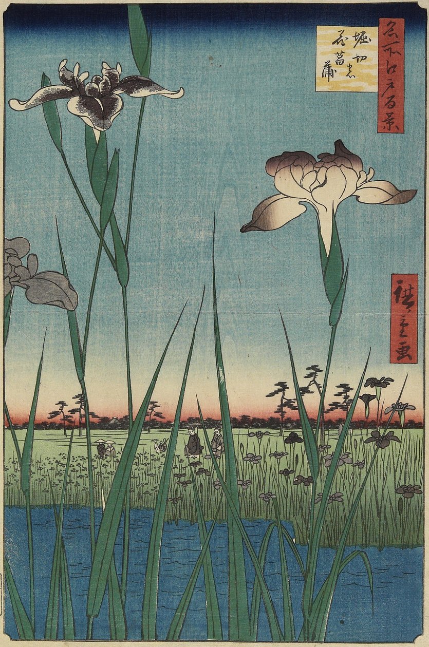 Iris Garden at Horikiri, May 1857 tekijältä Utagawa Hiroshige