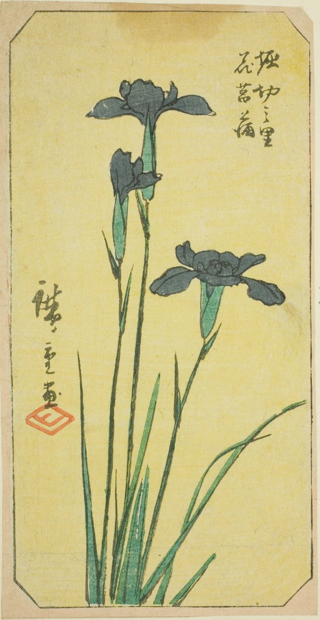 Esitelty Horikiri Viagessa (Horikiri no Sato Hanadokobu), "Horikiri-no-Sato Hanadokoro-bu", "Struggle" Edo (Edo Famous Places Paste Mixture)" tekijältä Utagawa Hiroshige