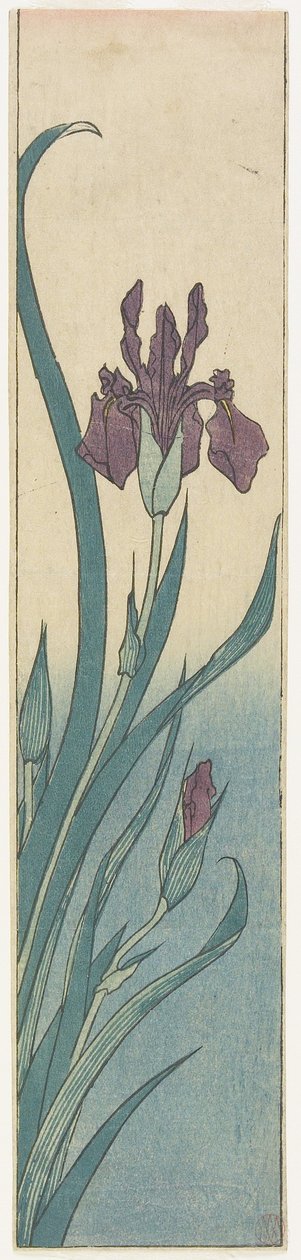 Iris, 1800-luvun alku tekijältä Utagawa Hiroshige