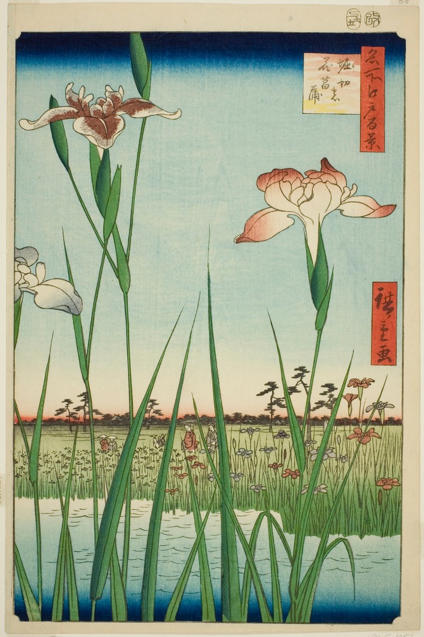 Irase s at Horikiri (Horikiri no Hanadokorobe), sarjasta "Ridge dre d fa net s view ws of Edo (Sata kuuluisaa näkymää Edoon)" tekijältä Utagawa Hiroshige
