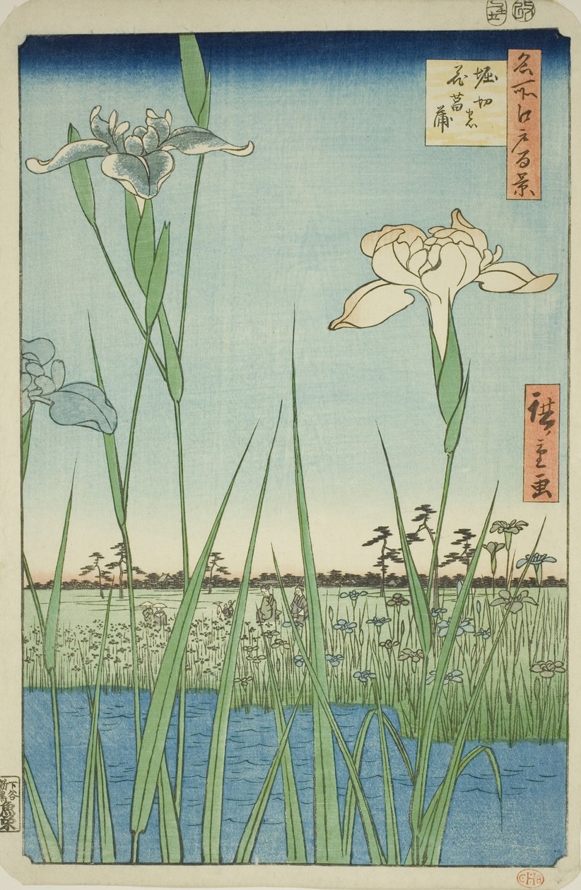 Irase s at Horikiri (Horikiri no Hanadokorobe), sarjasta "Ridge dre d fa net s view ws of Edo (Sata kuuluisaa näkymää Edoon)" tekijältä Utagawa Hiroshige