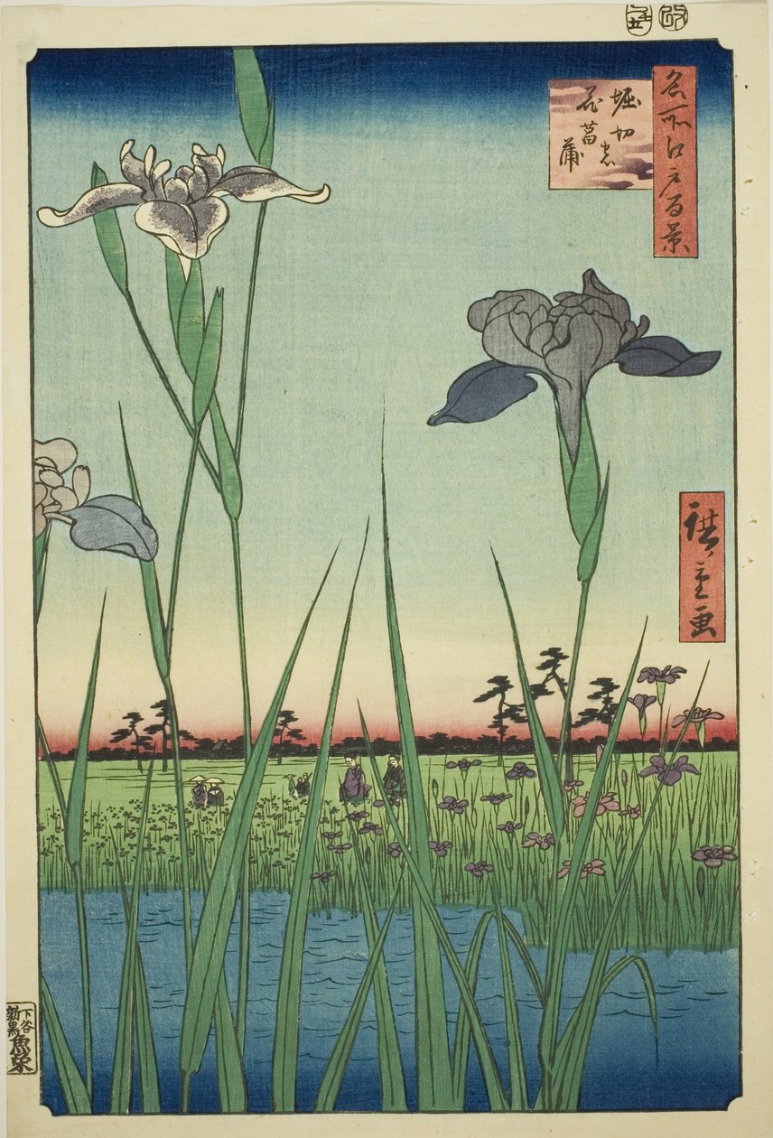 Irase s at Horikiri (Horikiri no Hanadokorobe), sarjasta "Ridge dre d fa net s Views of Edo (Sata kuuluisaa Edon näkymää)" tekijältä Utagawa Hiroshige