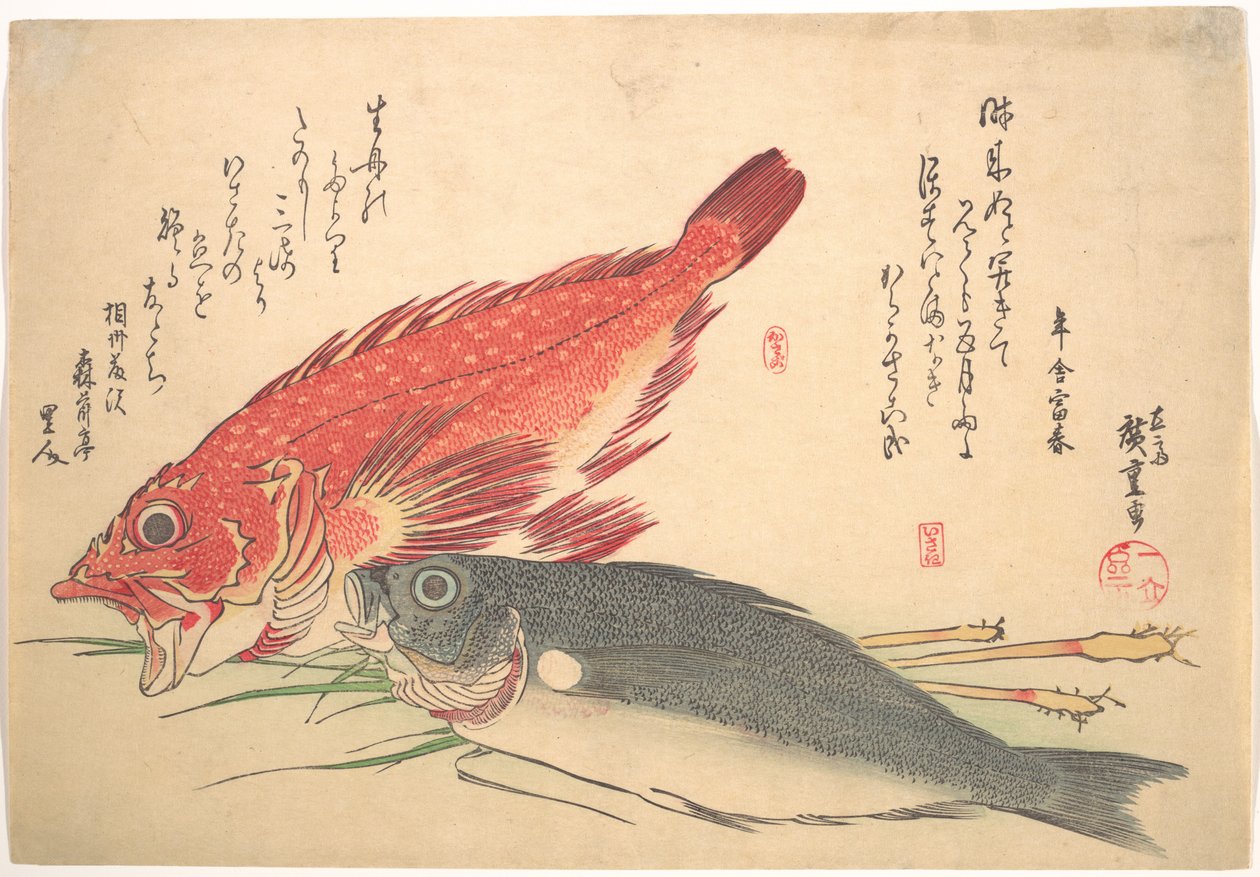 Isaki- ja Kasago-kalat sarjasta Uozukushi (kaikenlaisia kaloja) tekijältä Utagawa Hiroshige