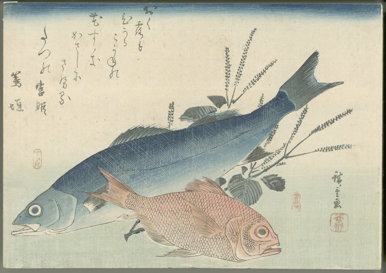 Japaninmeribassi, kultasilmäinen meribassi ja shiso-kasvi tekijältä Utagawa Hiroshige