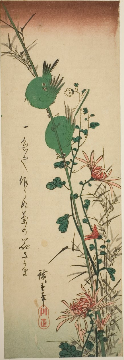 Japanilaiset valkosilmät ja krysanteemit tekijältä Utagawa Hiroshige