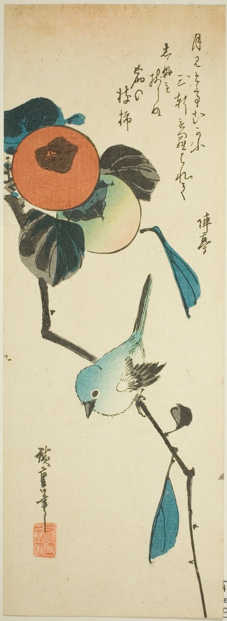 Japanilainen valkosilmä ja kaki tekijältä Utagawa Hiroshige