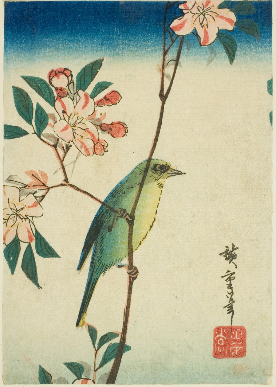 Japanilainen valkosilmä kukkivalla oksalla tekijältä Utagawa Hiroshige