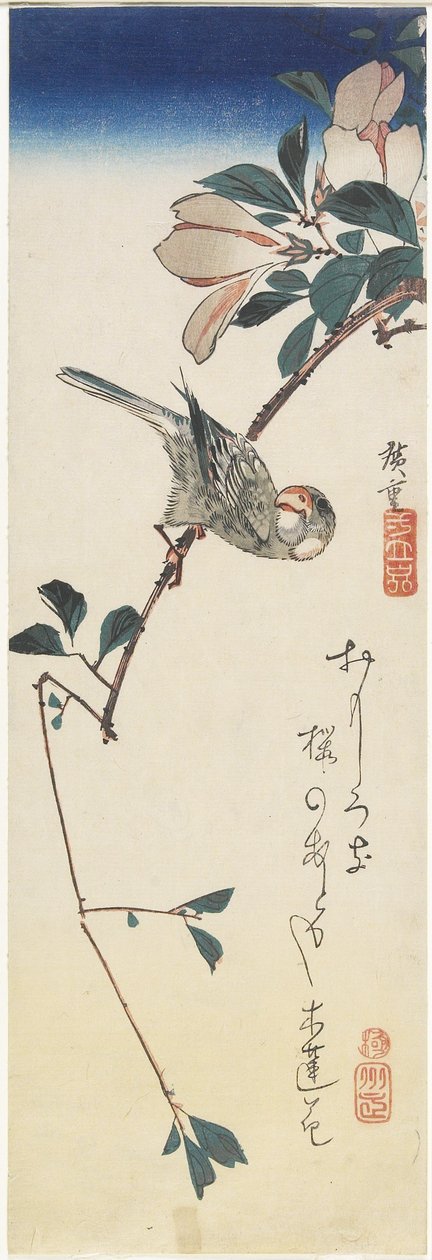 Java Sparrow ja Magnolia, 1834-1839 tekijältä Utagawa Hiroshige